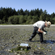 Image for article titled How Living Infrastructure Will Save Our Cities from Nature's Wrath